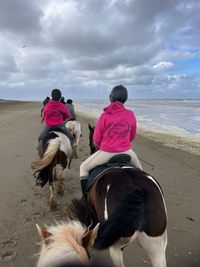 Paardrijden op Texel